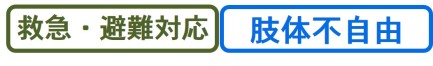 救急・避難対応、肢体不自由