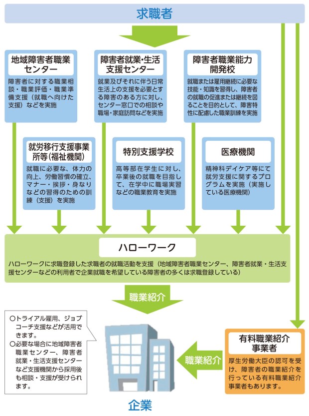 ・地域障害者職業センター　障害者に対する職業相談・職業評価・職業準備支援（就職へ向けた支援）などを実施・障害者就業・生活支援センター　障害者に対する職業相談、職場実習などを実施・障害者職業能力開発校　職業訓練を実施・就労移行支援事業所等（福祉機関）就職に必要な、体力の向上、労働習慣の確立、マナー・挨拶・身なりなどの習得のための訓練（支援）を実施　・特別支援学校　高等部在学生に対し、卒業後の就職を目指して、在学中に職場実習などの職業教育を実施・医療機関　精神科デイケア等にて就労支援に関するプログラムを実施（実施している医療機関）・ハローワークハローワークに求職登録し就職活動を支援　地域障害者職業センター、障害者就業・生活支援センターなどの利用者で企業就職を希望している障害者の多くは求職登録している・企業　ハローワークや有料職業紹介事業者（障害者の職業紹介を行っている厚生労働大臣の認可を受けた有料職業紹介事業者もある）から職業紹介を受けることができます。トライアル雇用、ジョブコーチ支援などが活用できます。地域障害者職業センター、障害者就業・生活支援センターなどの支援機関が採用後も相談・支援を行うことができます。