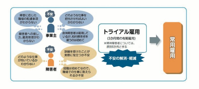 ・事業主の不安　障害に応じた職場の配慮事項がわからない、障害者への接し方、雇用管理がわからない、どのような仕事を担当させればよいかわからない、身体障害者は雇用しているが、知的障害者を雇うのは初めて・障害者の不安　どのような仕事が向いているかわからない、訓練を受けたことが実際に役立つか不安、就職は初めてなので、職場での仕事に耐えられるか不安　トライアル雇用（３か月間の有期雇用）※精神障害者については、原則６か月とする　不安の解消・軽減