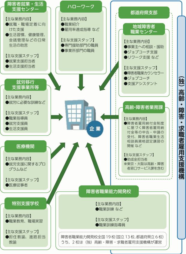 １.ハローワーク【主な業務内容】・職業紹介・雇用率達成指導など【主な支援スタッフ】・専門援助部門の職員・事業所部門の職員２.独立行政法人高齢・障害・求職者雇用支援機構地域障害者職業センター【主な業務内容】・事業主への相談・援助・ジョブコーチ支援・リワーク支援 など【主な支援スタッフ】・障害者職業カウンセラー・ジョブコーチ・支援アシスタント３. 独立行政法人高齢・障害・求職者雇用支援機構高齢・障害者業務課【主な業務内容】・障害者雇用納付金制度に基づく障害者雇用納付金等の申告・申請の受付、障害者職業生活相談員資格認定講習の開催など【主な支援スタッフ】・助成金担当者　東京・大阪は高齢・障害者窓口サービス課を含む４. 独立行政法人高齢・障害・求職者雇用支援機構障害者職業能力開発校【主な業務内容】・職業訓練 など【主な支援スタッフ】・職業訓練指導員障害者職業能力開発校全国１９校（国立１３校、都道府県立６校）うち、２校は（独）高齢・障害・求職者雇用支援機構が運営５.障害者就業・生活支援センター【主な業務内容】・就職・職場定着に向けた支援・生活習慣、健康管理、金銭管理などの日常生活の助言【主な支援スタッフ】・就業支援担当者・生活支援担当者６.就労移行支援事業所【主な業務内容】・就労に必要な訓練など【主な支援スタッフ】・職業指導員・就労支援員７.特別支援学校【主な業務内容】・職業教育、職場実習【主な支援スタッフ】・担任教諭、進路担当教諭