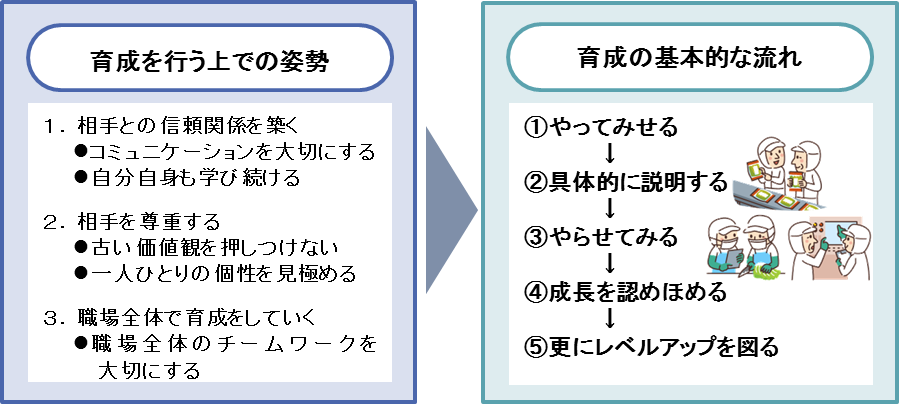 育成を行う上での姿勢と流れ