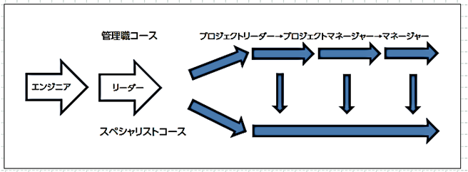 複線型キャリアパス