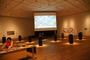 Photo3 of Satellite Exhibition