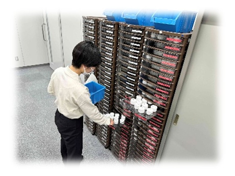 ピッキング写真