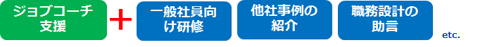 ジョブコーチ支援プラス一般社員向け研修、他社事例の紹介、職務設計の助言他