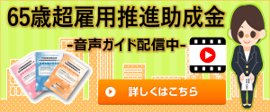 65歳超雇用推進助成金