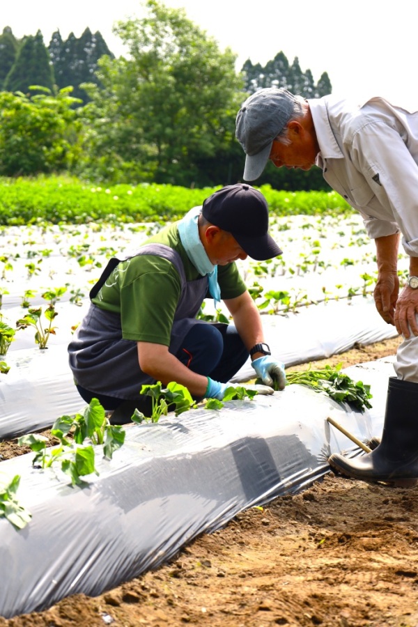 令和７年度写真コンテスト　職場で輝く障害者～今その瞬間～ （独）高齢・障害・求職者雇用支援機構理事長奨励賞 「この植え方で大丈夫？」鹿児島県　森永　香奈さんの作品