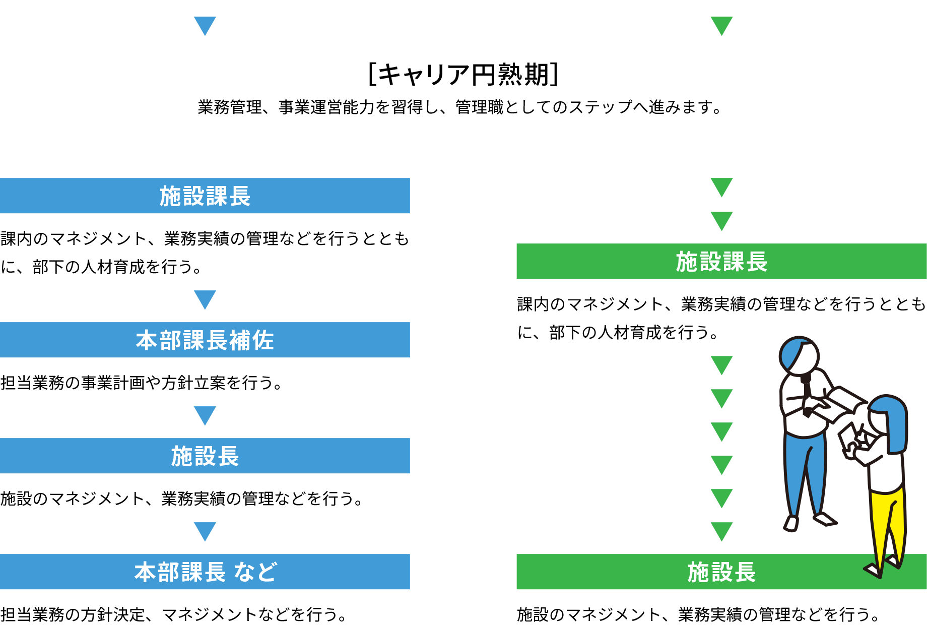 キャリア円熟期