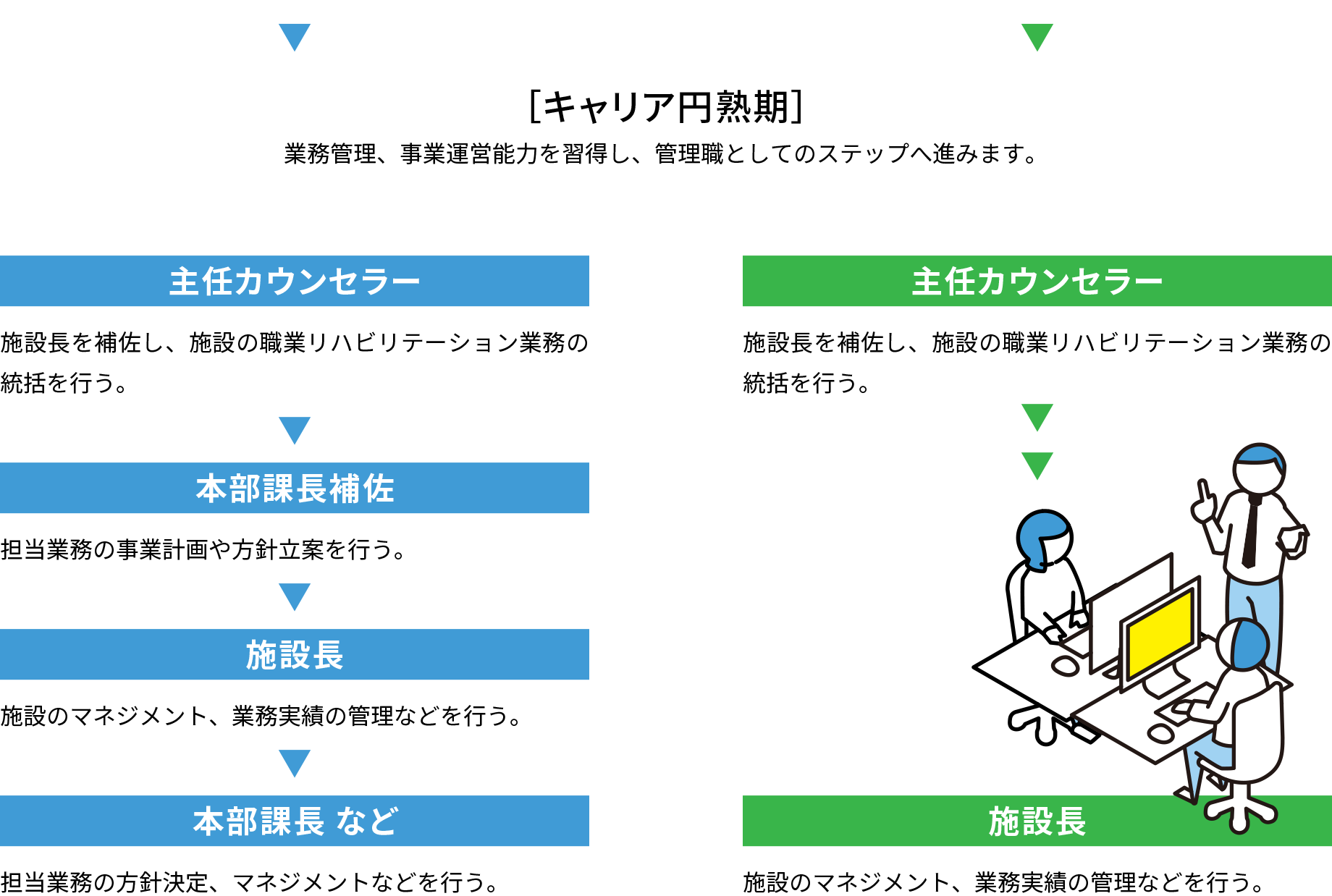 キャリア円熟期