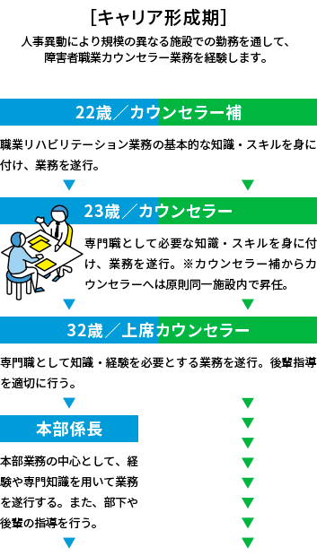 キャリア形成期