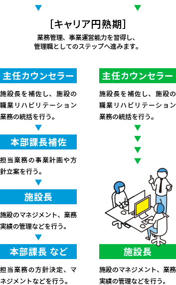 キャリア円熟期