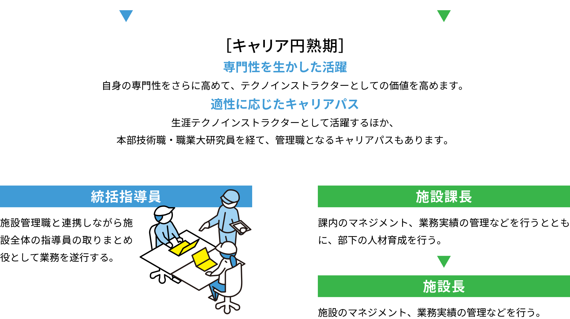 キャリア円熟期