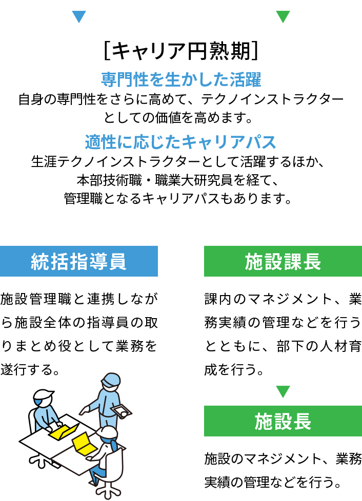 キャリア円熟期