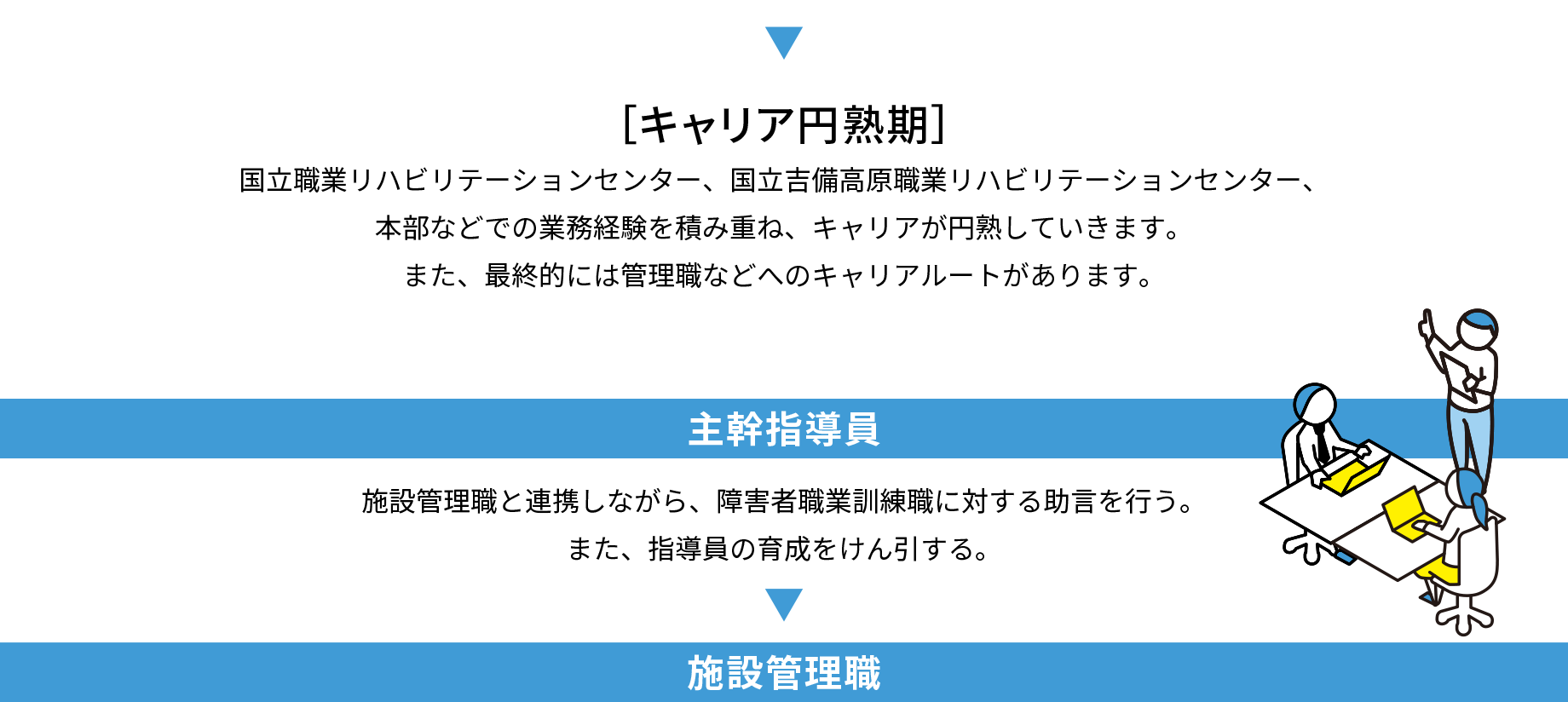 キャリア円熟期