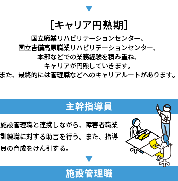 キャリア円熟期