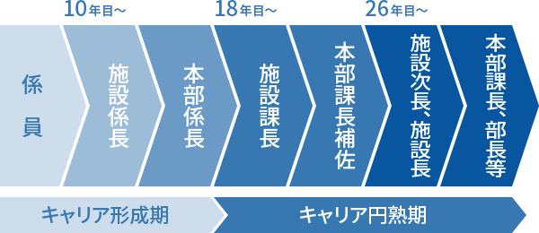 事務職のキャリアパス［総合職（全国転勤型）］